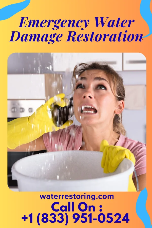 Emergency Water Damage Restoration in Bristol, VA